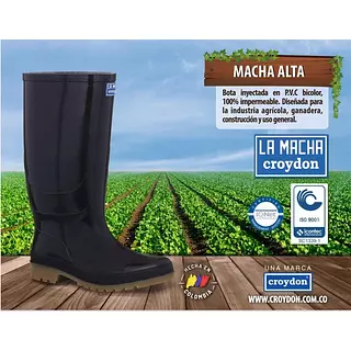 Macha Alta Negra Croydon